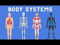 11 Body Systems in 3 minutes