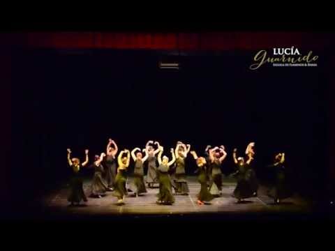 Trailer Festival Fin de Curso 2014  Escuela de Flamenco y Danza Lucía Guarnido