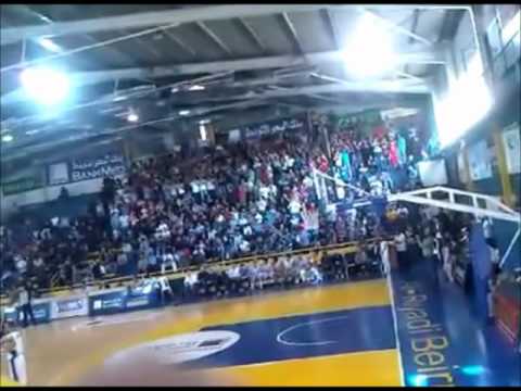 Amazing basketball fans