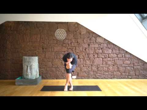 39 Adler Der Yoga Coach by Stephan Suh