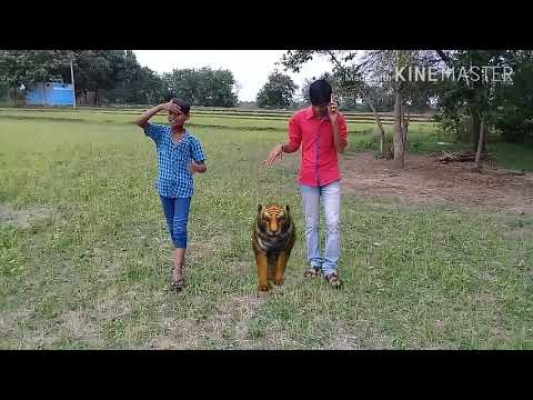 Mothey village short filem aadco