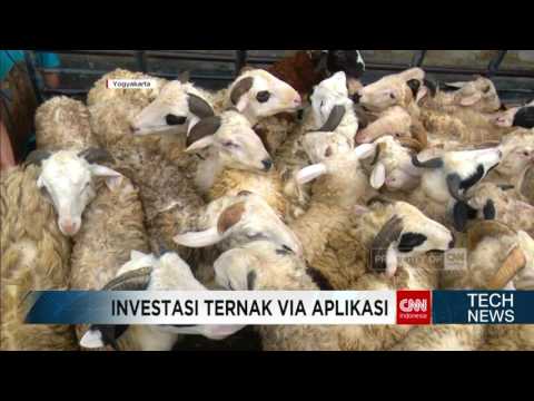 , title : 'Investasi Ternak Domba dan Lele via Aplikasi Smartphone'