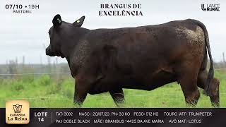 LOTE 14  3092
