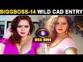 Bigg Boss 14 Sapna Sappu Wild Card Entry In Bb House Sapna Sappu Entry In Bigg Boss 14 Sapna Sappu