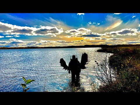 Self Guided Moose Hunt Bethel Alaska! #tundra #camping #floatplane #halibut #salmon