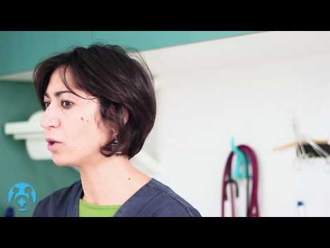 Sangue su virus di parassiti Fare la prova di se su parassiti