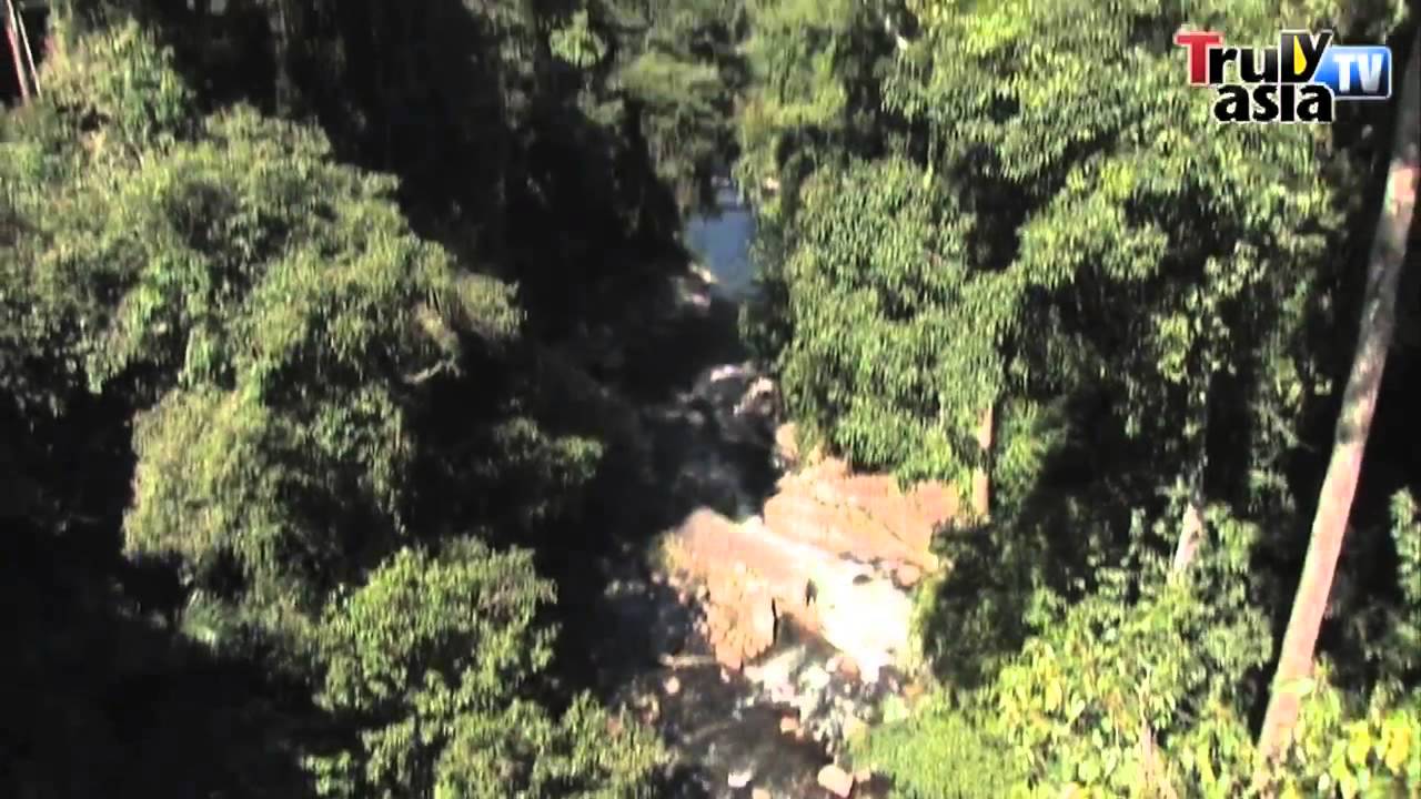Malaysia Travelogue: Sedim Tree Top Walk, Kedah