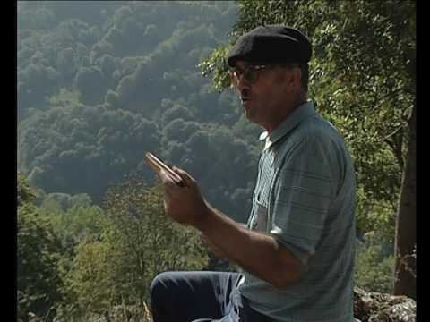 Les estiflòls