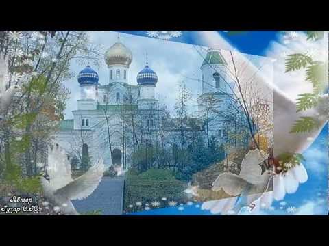 Артем Беркут "Сизокрылый"