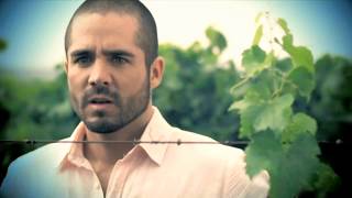1ª Chamada de Estreia | Quando Me Apaixono - (SBT/2020) [OFICIAL]