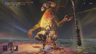 常夜の王 調律の魔物リブラ 追跡者ソロ,ノーダメージ攻略