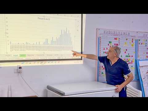 Salvador Mazza concentra el 66% de los casos de Chikungunya de Salta