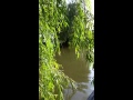Under the willow trees. #gjcsummer15