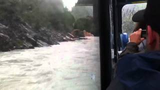 preview picture of video 'Jet boat in white water, Devil's Canyon, near Talkeetna, Alaska'