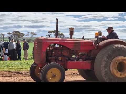 Massey Harris 55K #48 driven by Rob at the Price Tractor Pull, Australia