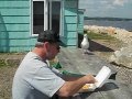 Bob Croft Feeding The Seagull French Fries