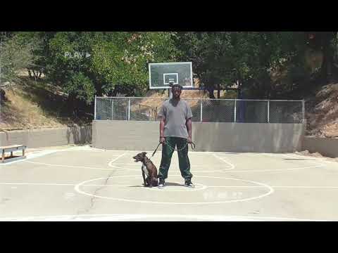 Video thumbnail Cpfzx951Rfg