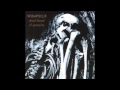 WUMPSCUT - "Crucified Division"