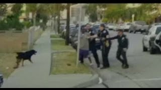 Police Shoot Dog In Hawthorne, CA | Rottweiler, Max Shot Four Times