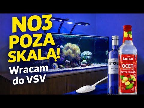 VSV IN THE SEA AQUARIUM – NO3 RISES. WHAT DID I DO? #seaaquarium