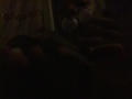 Black Oobi And Oobi