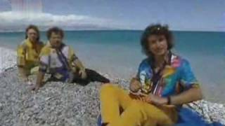 Die Flippers - Das ganze Leben ist eine Wundertüte