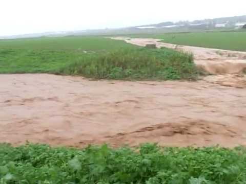 זרימת נחלים בעמק חרוד - נוף ישראלי מדהים!