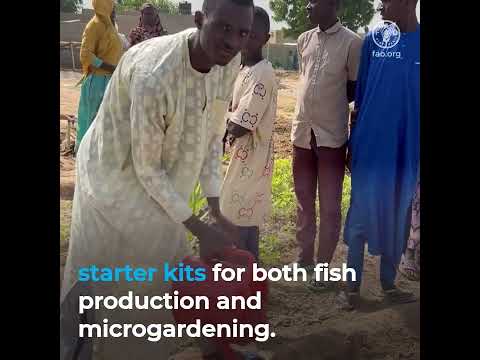 Integrated aquaculture and microgardening to boost nutrition in northeastern Nigeria