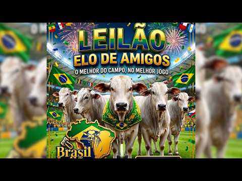 LEILÃO  ELO DE AMIGOS  PORANGATU - GO 06 /07 / 2026