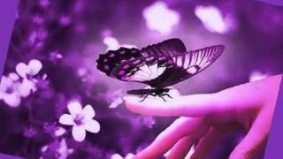 CAPRICHO VIOLETA - ARA MALIKIAN - VIOLIN -  CAPRICHO Nº19 - N. PAGANINI