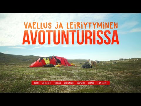 Vaellus vaimon ja koiran kanssa Lapissa - Didnojärvi ja Käsivarren erämaa