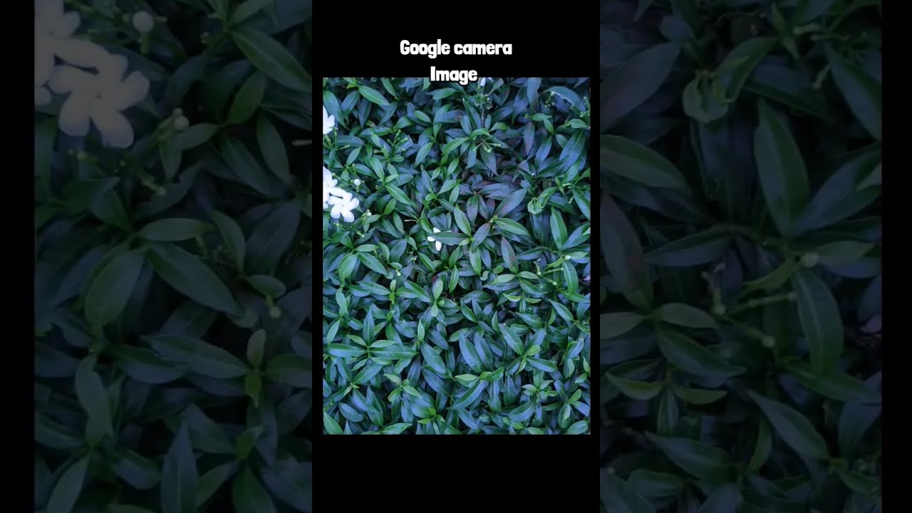 Lihat Apa Itu Aux Pada Gcam Apa Itu Aux Pada Gcam