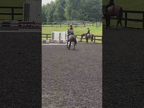 Rolo video 2