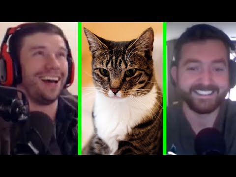 The WORST Animals to Keep as Pets | PKA