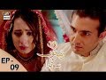 Zard Zamano Ka Sawera Ep 9 27th Jan 2018 ARY Digital Subtitle Eng