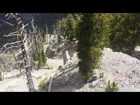 Video from the North Loop Trail. Two miles from Mt Charleston summit.