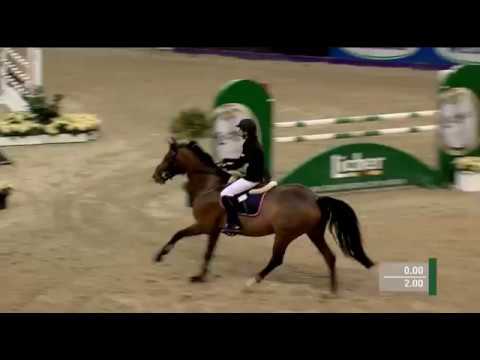 Kordula Christea   Lady Victoria (Concept x Mytens xx x Landgraf I)