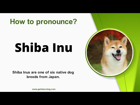 How to pronounce (Shiba Inu) in English correctly
