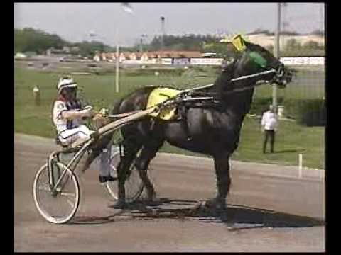 Elitloppet 1988 - The Elimination Heats