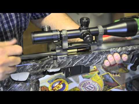 Roberts_7WSM_feeding