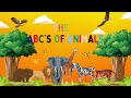 ABC Talking Alphabet Of Animals Spoken Word English Phonics Poem Speech American Child Called Kevin