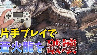 【片手縛り2P】リオレウス亜種？片手で狩ってやんよ【モンハンワールドアイスボーン】