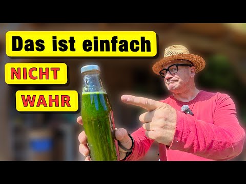 "Wirkt nicht!" – Die Lüge über Brennnesseljauche zerlegt (Mein Labor-Beweis)