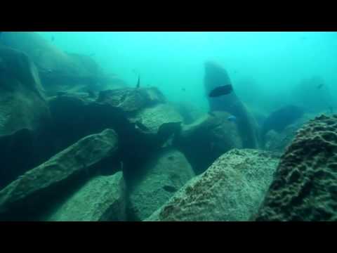 Lake Malawi Highlights