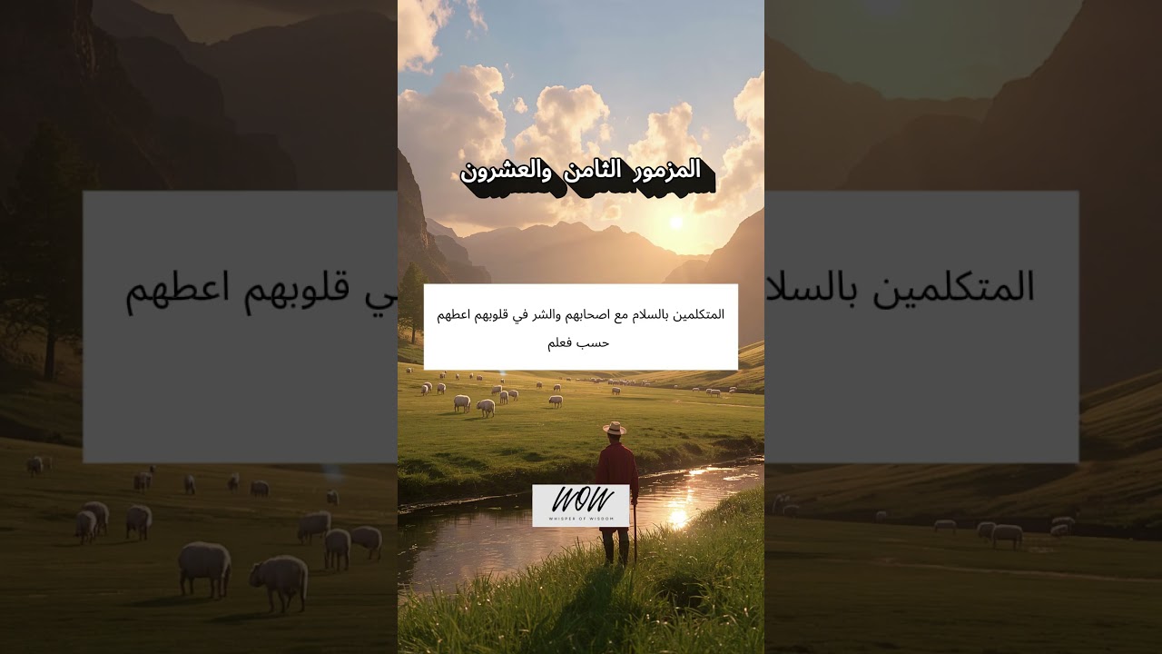 فيديو تفسير الكتاب المقدس | الكتاب المقدس رفيقي