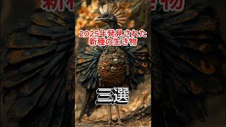 2025年発見された新種の生き物3選 2