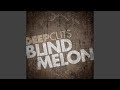 Wilt (Demo) - Blind Melon - Topic Wilt (Demo)