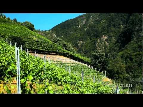 Vorberg Pinot Bianco Riserva