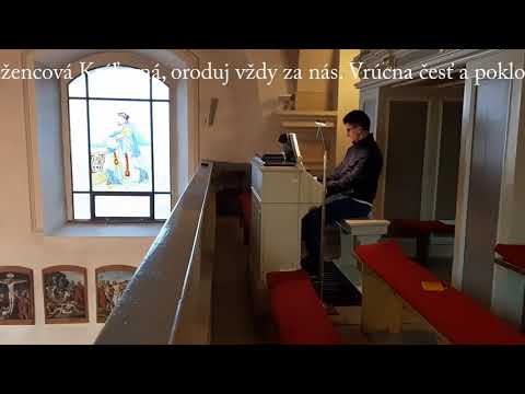 JKS 410 - K tebe, Matka ružencová