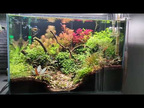 mój baniak ... dwa miesiące od startu😉